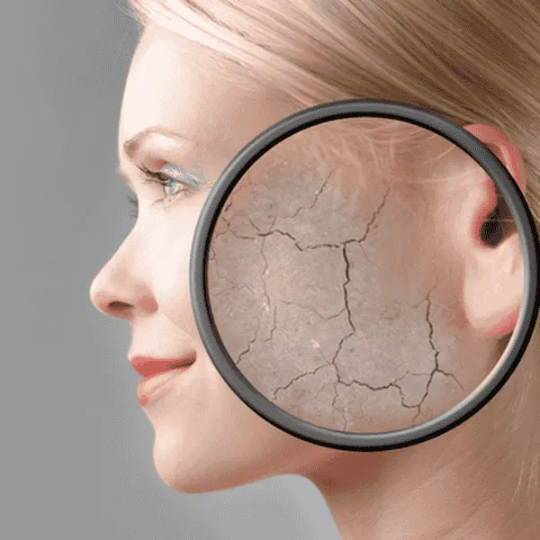 Dr. Honarvar Clinic