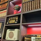 صنایع روشنایی زانیس