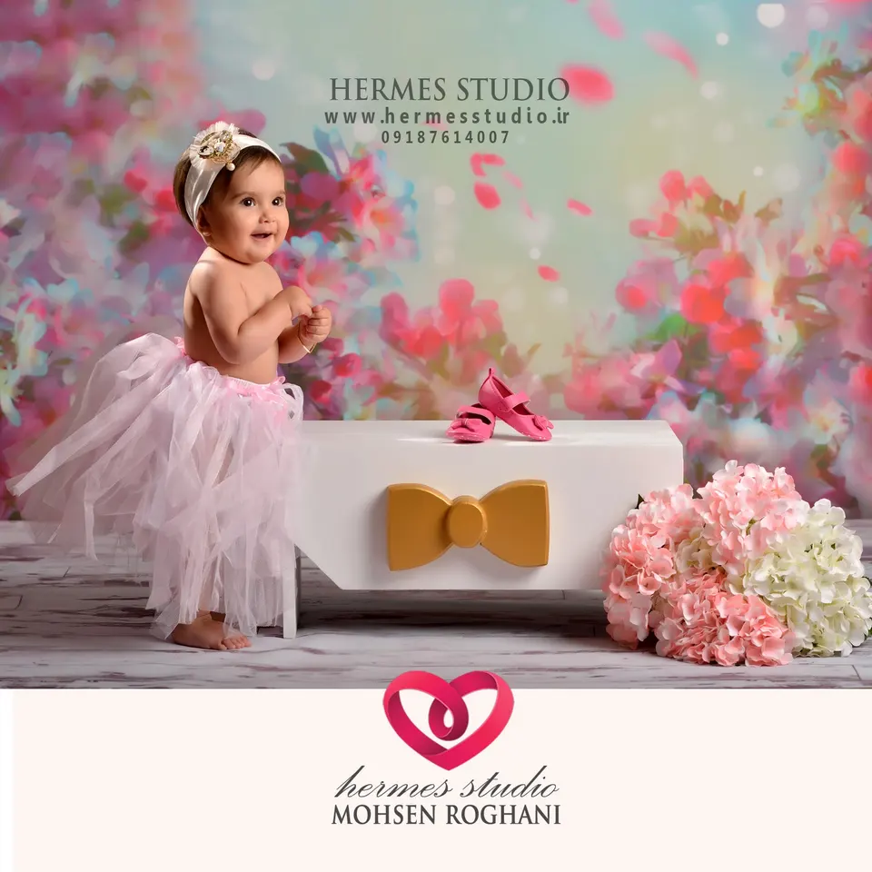 Hermes Studio