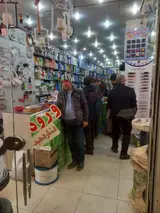کالای برق زنجان