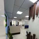 لیپوماتیک فرمانیه