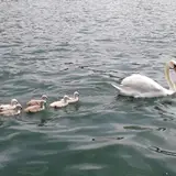 عکاسی دیدگاه