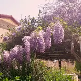 درمانگاه شبانه‌روزی فاز ۳ اندیشه
