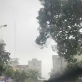 دکتر اطهر طاهری