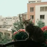 Sa'adat Abad