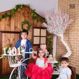 استودیو کافه عکس