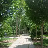 پارک ناژوان