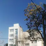 دکتر مهرناز تولایی