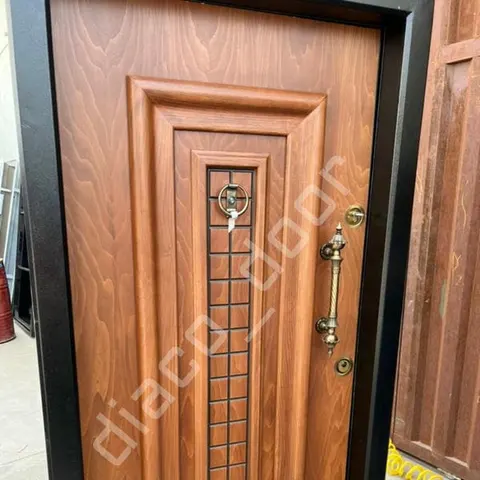 درب ضد سرقت آریانا