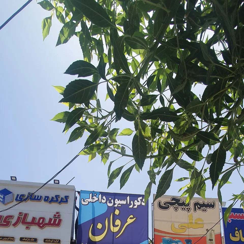 هتل آپارتمان دماوند