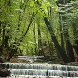 Golestan