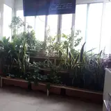 دکتر الهه میر طلایی