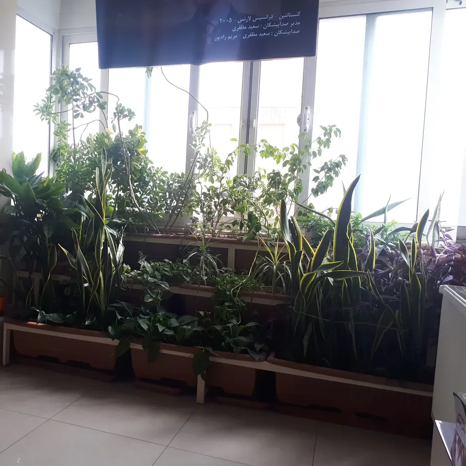 دکتر الهه میر طلایی
