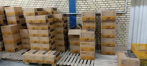 الکتریکی دهقان