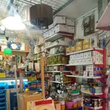Electric tools of the month