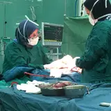 دکتر نازین مشایی