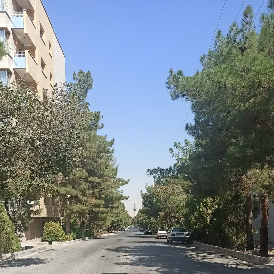 Mardavij