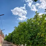 E Ghodoosi Blvd