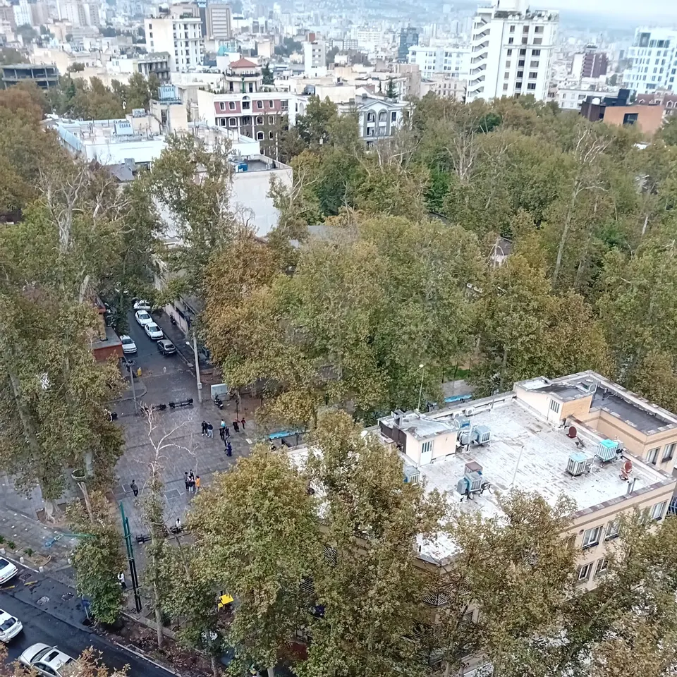 Zaferanieh Optic