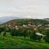 دیکینی‌ها
