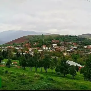 دیکینی‌ها