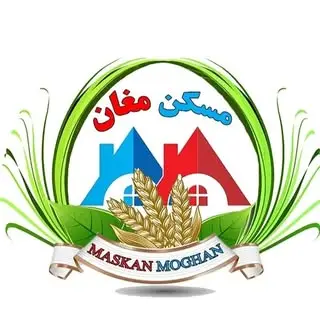 Naser Firouzi