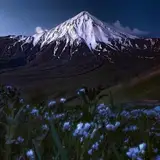 مشاور املاک محسنی