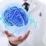 دکتر نداسادات حسینی