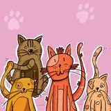 هتل پيشولانه?? tails.paws