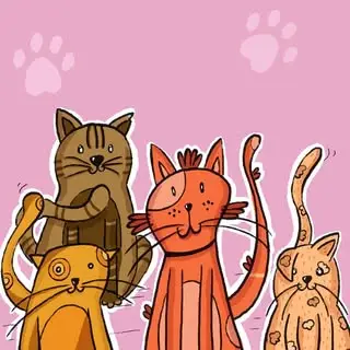 هتل پيشولانه?? tails.paws