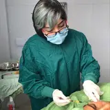 دکتر سارا ملک آرا،متخصص پوست/مشهد