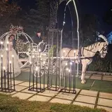 كالسكه عروس و داماد و تشريفات