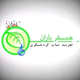 ?همسفر باران