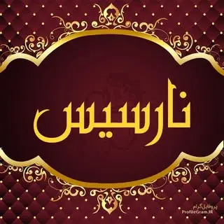 نارسیس مارکت قم