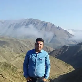 Estil shams