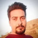 میوه سرای توحید(فله)