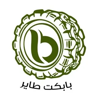 بابکت طایر