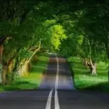 املاک نظام اباد/وحیدیه/بخت ازاد/سبلان/زرکش/تسلیحات