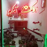 Rohollh Ahangari
