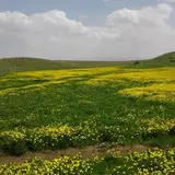اردبیل و زیباییهایش