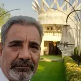 mohammad talebi Adell