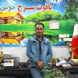 املاک شریف آباد تهران
