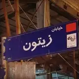 زیتون کارمندی