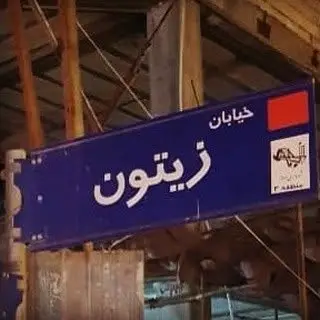 زیتون کارمندی