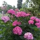 LiliLand