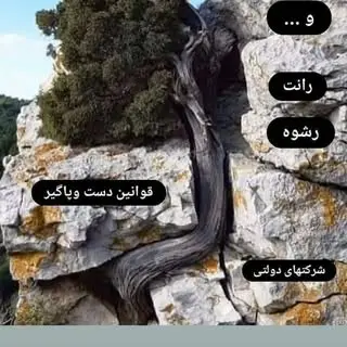 املاک ایرانیان