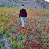 املاک آکام مرند