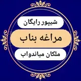 شیپور