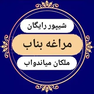شیپور