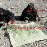 املاک سرجو چابهار